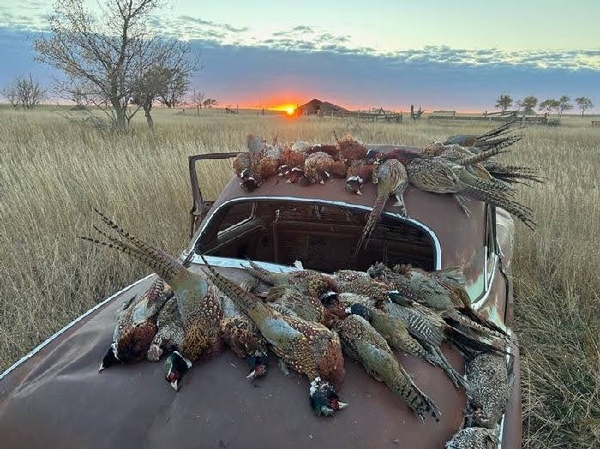 2022 UGUIDE Week 5 Harvest Report By Camp